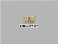 藏品(螟蛾194)的圖片